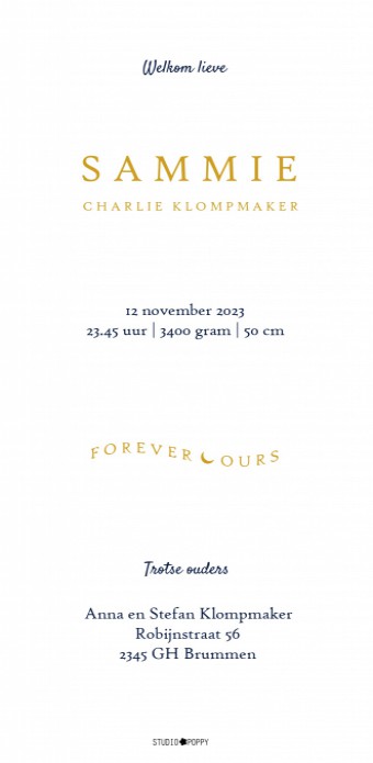 Geboortekaartje sterrenbeeld watercolour. Geboortekaartje met foliedruk is héél stijlvol en chique. Het maakt jouw kaartje extra bijzonder voor jullie kindje. Er zijn verschillende soorten foliedruk om tussen te kiezen. Ga zelf aan de slag met jouw lievel