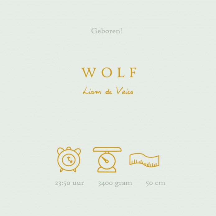 Foliedruk wereldbol geboortekaartje. Geboortekaartje met foliedruk is héél stijlvol en chique. Het maakt jouw kaartje extra bijzonder voor jullie kindje. Er zijn verschillende soorten foliedruk om tussen te kiezen. Ga zelf aan de slag met jouw voorkeuren 