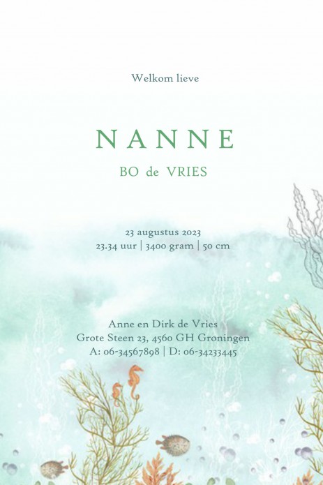 Prachtige illustratie van de onderwater wereld. Elk onderwater dier is vertegenwoordigd: de walvis, octopus, kwal, vis, schildpad en zeepaardje. Een spektakel om te zien en gezellig avontuurlijk geboortekaartje. De zee met al zijn planten en koralen. Vraa