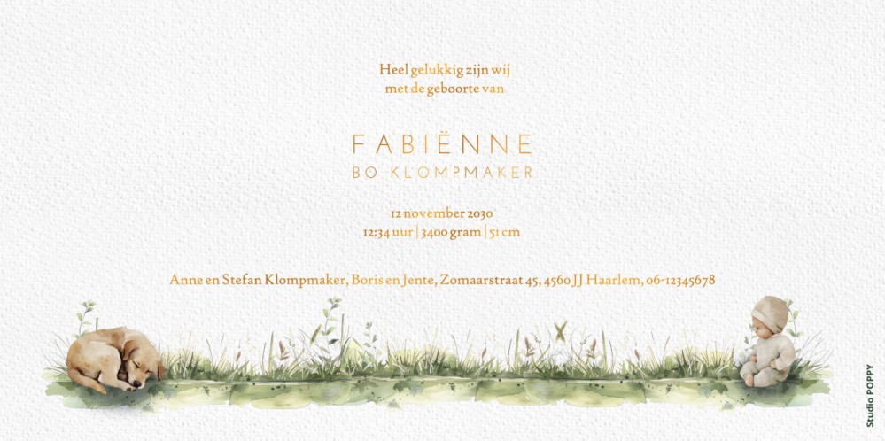 Geboortekaartje met molen en gras. In het weiland staan schapen en er loopt een gans rond. Broer en zus krijgen een belangrijke rol op het geboortekaartje boerderij want zij horen er natuurlijk ook bij.