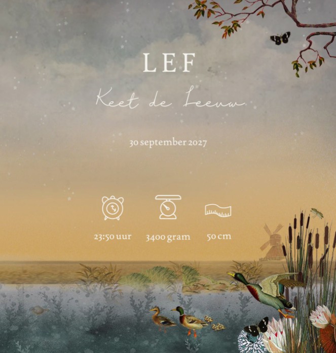 Geboortekaartje weiland met molen en paarden. De lammetjes kijken naar de eenden in de sloot. Een sereen en romantisch geboortekaartje voor iedereen die van illustratieve geboortekaartjes houdt.