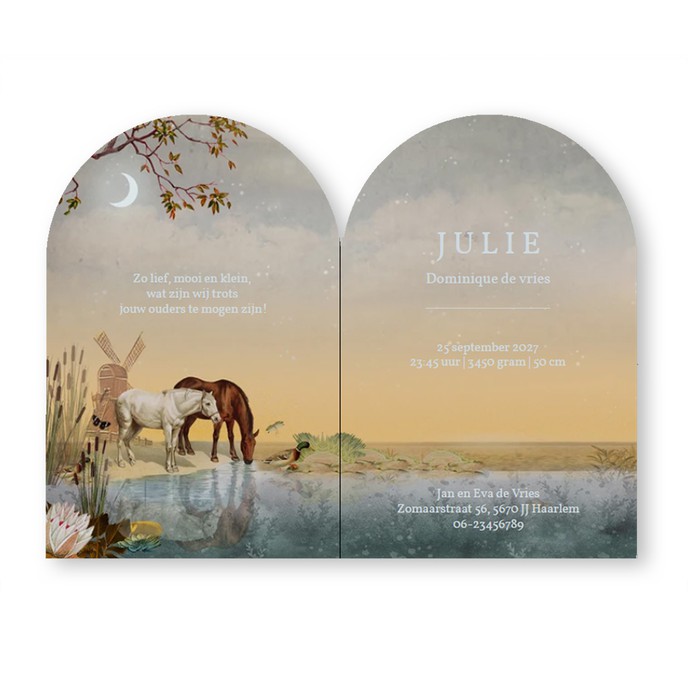 Geboortekaartje met weiland en molen in boogvorm. Een prachtige decoratieve rand maakt het een bijzonder geboortekaartje. Wil je het kaartje eens in het echt zien? Waarschijnlijk kan dat gratis!