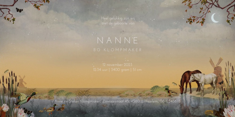 Illustratief geboortekaartje met paarden en molens. Het weiland licht mooi op door de zonsopgang. Het slootje met eenden worden geflankeerd door sigarenplanten en lelies. Is dit geboortekaartje wat voor jou? Vraag eens de gratis proefdruk op.