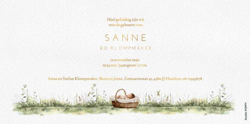 Geboortekaartje weiland met schapen en een gans. Broer en zus staan ook op het geboortekaartje evenals de baby in het mozeswiegje. Mix and match jouw eigen gezin bij elkaar! De boerderij in watercolor techniek voor jullie geboortekaartje.