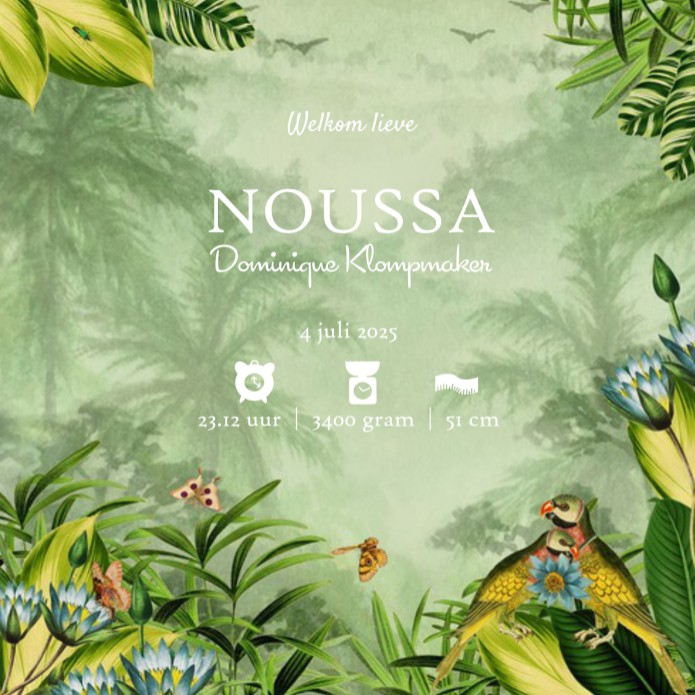 Vrolijk geboortekaartje jungle met leeuwen welpje in mandje. Lief leeuwtje met vlinders, vogels en aap in weelderige oerwoud. Tropische bloemen maken het kaartje nog vrolijker. Vraag eens een gratis proefkaartje aan.