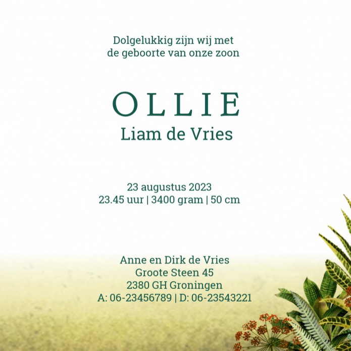 kaart binnenzijde rechts