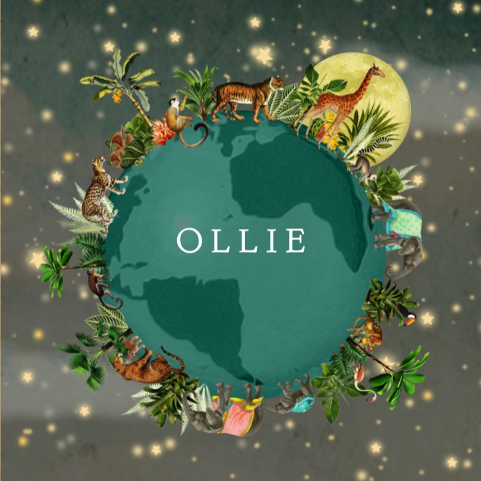 Geboortekaartje wereldbol met jungle jongen