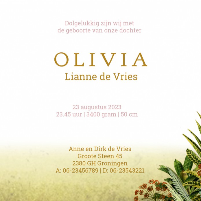 kaart binnenzijde rechts