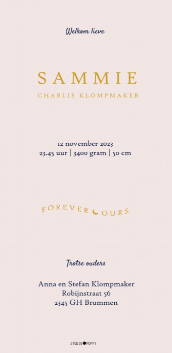 Geboortekaartje staand model met een foliedruk wiegje. De lijntekening van het wiegje is lief en sereen. De foliedruk kan ook vervangen worden voor kleur. Geboortekaartje wiegje voor jullie pasgeboren baby.