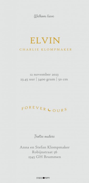 Geboortekaartje staand model met een foliedruk wiegje. De lijntekening van het wiegje is lief en sereen. De foliedruk kan ook vervangen worden voor kleur. Geboortekaartje wiegje voor jullie pasgeboren baby.