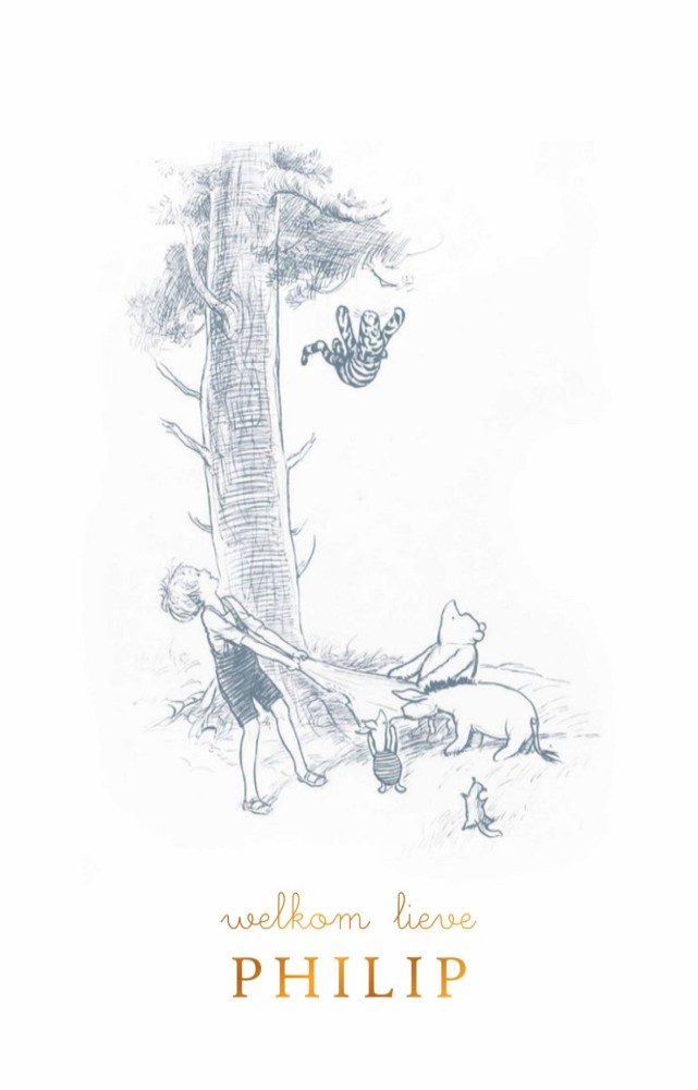 Geboortekaartje Winnie en Teigetje in het bos