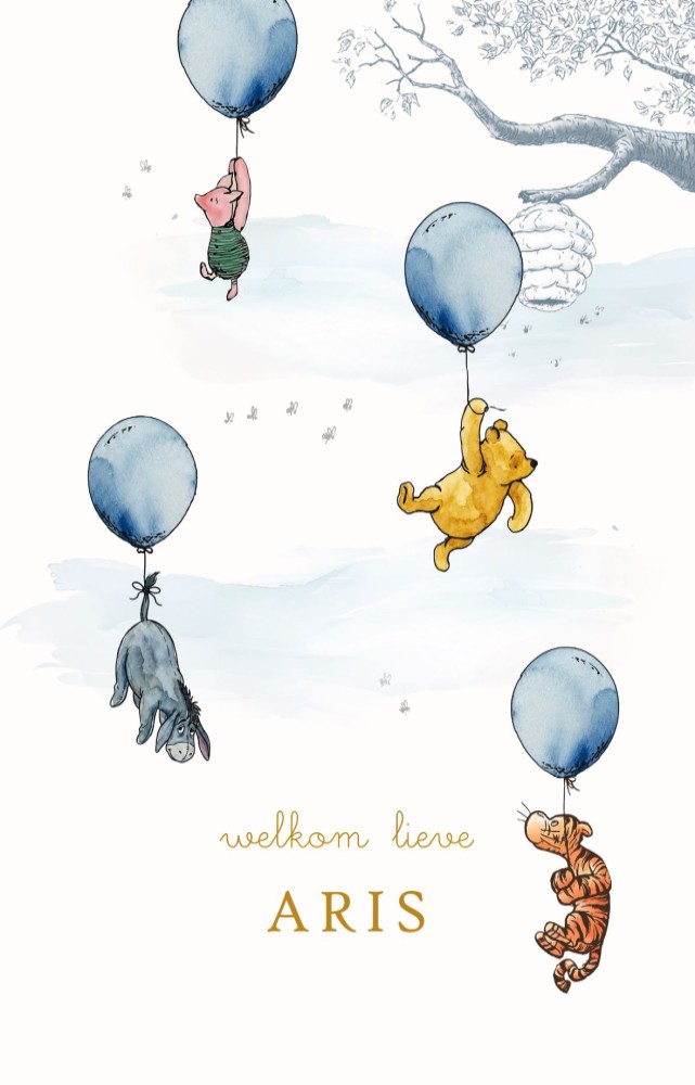 Geboortekaartje Winnie, Teigetje en Knorretje met ballon