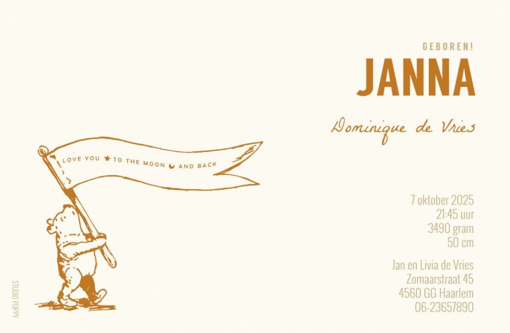 Geboortekaartje Winnie the Pooh classic. Deze klassieke geboortekaartjes van Winnie the Pooh zijn smaakvol en tijdloos. Op een eigentijdse manier vormgegeven door gebruik te maken van folie of kleuren van deze tijd. Er zijn veel Winnie the Pooh kaartjes o