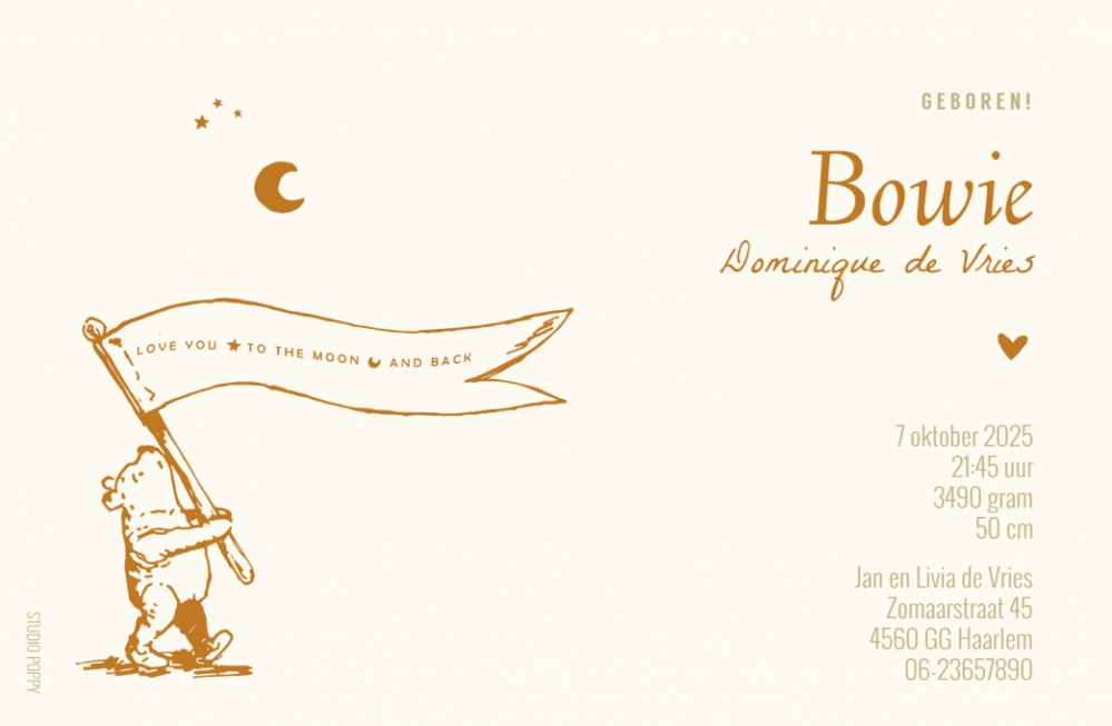 Geboortekaartje Winnie the Pooh classic. Deze klassieke geboortekaartjes van Winnie the Pooh zijn smaakvol en tijdloos. Op een eigentijdse manier vormgegeven door gebruik te maken van folie of kleuren van deze tijd. Er zijn veel Winnie the Pooh kaartjes o