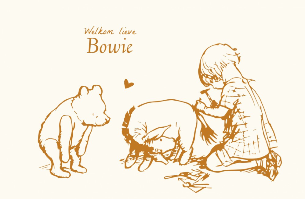 Geboortekaartje Winnie the Pooh