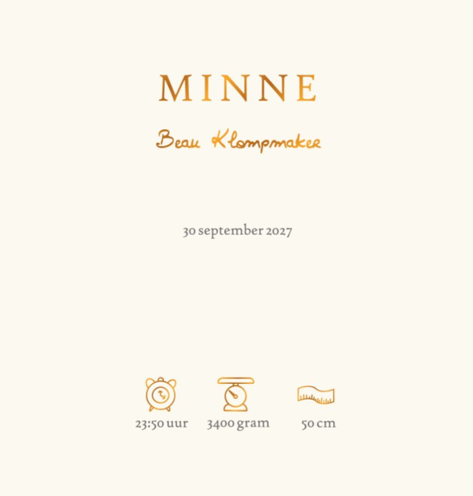 Lief geboortekaartje met Winnie the Pooh, Teigetje en Knorretje bij een babymandje. Er is een kindje geboren! Lieve illustratie die ook in folie om te zetten is. Bekijk de andere Winnie the Pooh geboortekaartjes ook eens, ze zijn te drukken in allerlei fo