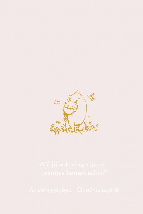 kaart binnenzijde links