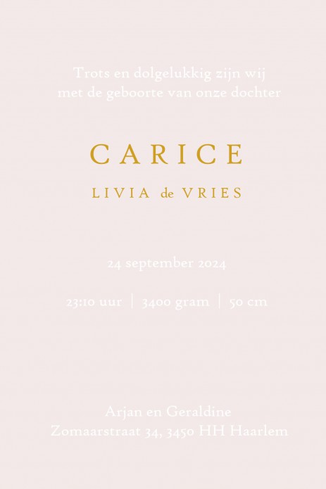 Geboortekaartje vintage Winnie the Pooh met foliedruk. Het maakt jouw kaartje extra bijzonder voor jullie kindje. Er zijn verschillende soorten foliedruk om tussen te kiezen. Ga zelf aan de slag met jouw lievelings lettertype en maak het jullie unieke geb