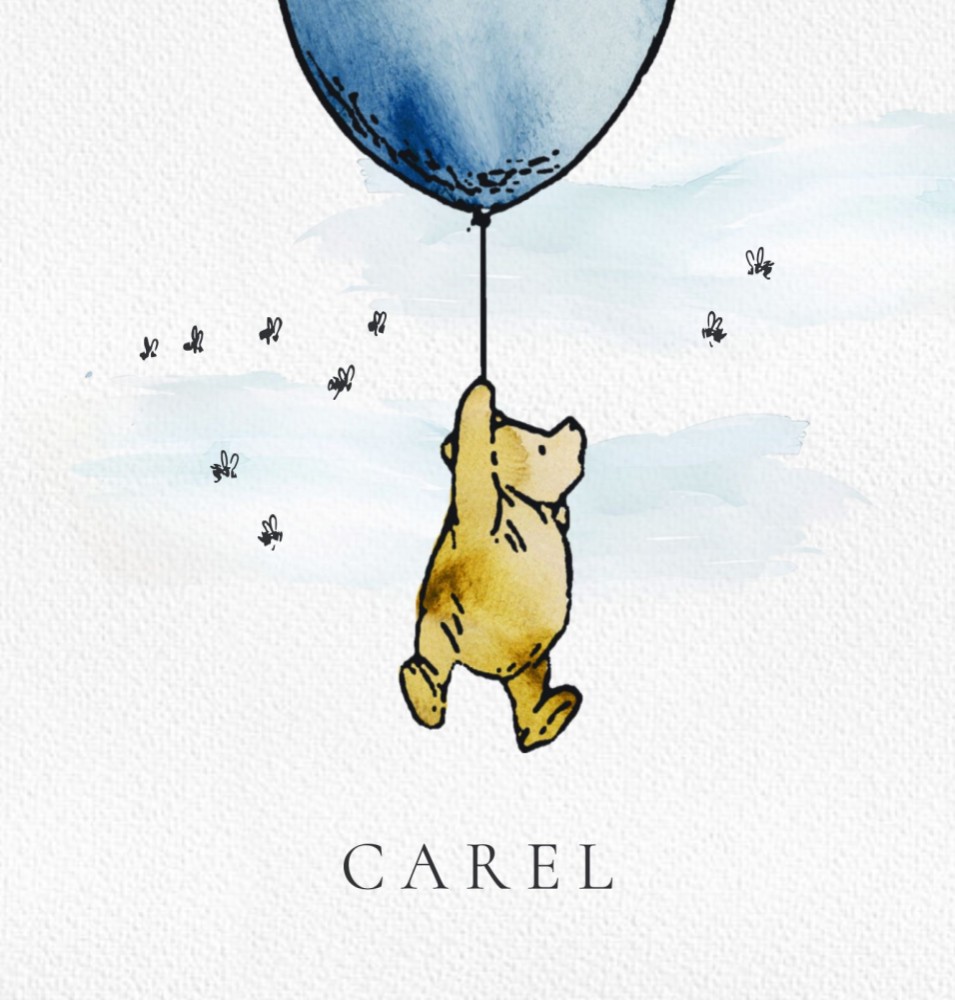 Geboortekaartje Winnie the Pooh met een ballon door de lucht