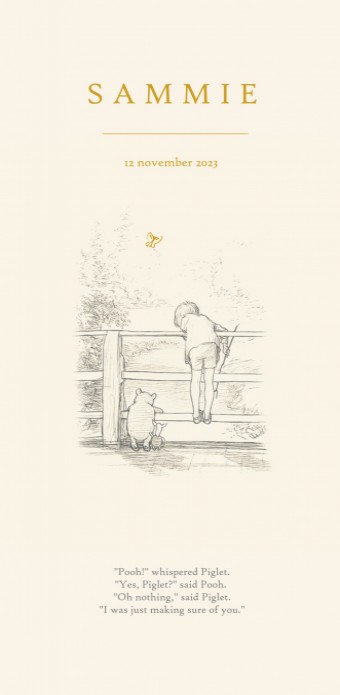 Geboortekaartje Winnie the Pooh op de brug
