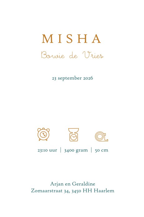 Een heel stijlvol geboortekaartje met originele illustratie van Winnie the Pooh en honingpot en bijtjes met accent in folie. Prachtig klassiek geboortekaartje dat ongetwijfeld tijdloos is. Op een eigentijdse manier vormgegeven door gebruik te maken van fo