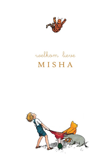 Geboortekaartje Winnie the Pooh, Teigetje en Christoffer