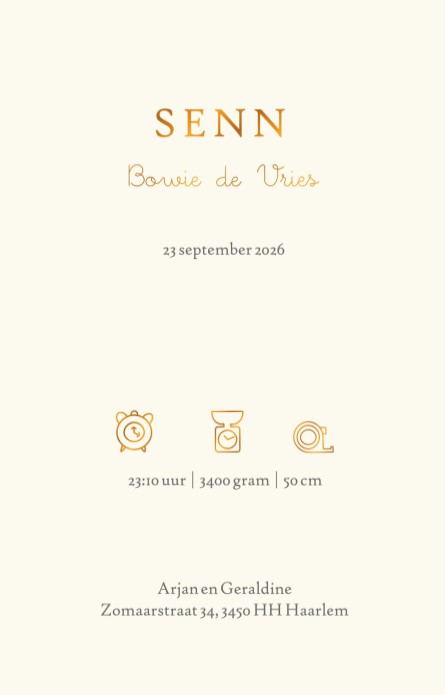 Een heel stijlvol Winnie the Pooh geboortekaartje met originele illustratie en accent in folie. We hebben treffende quotes die je kunt gebruiken. Super lieve Winnie the Pooh met Piglit die een wens doen.