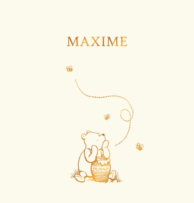Geboortekaartje Winnie the Pooh honingpot