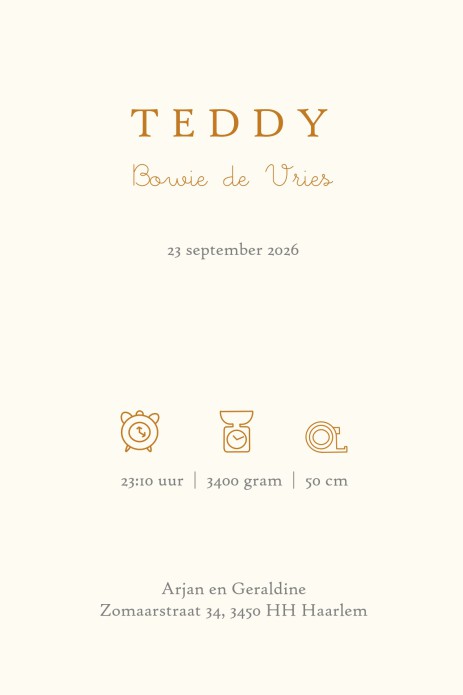 Klassiek Winnie the Pooh geboortekaartje 'Hunny'. Winnie the Pooh lijntekening die in folie gedrukt kan worden. De bijtje vliegen om de hunny pot heen. Vertederende Pooh zinnetjes maken het geboortekaartje helemaal af. Vraag eens een proefkaartje aan.