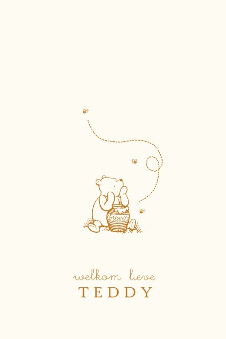 Geboortekaartje Winnie the Pooh Hunny