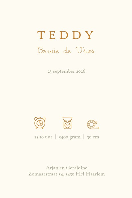 Klassiek Winnie the Pooh geboortekaartje met piglet. Winnie the Pooh lijntekening die in folie gedrukt kan worden. Vertederende Pooh zinnetjes maken het geboortekaartje helemaal af. wat denk je van 