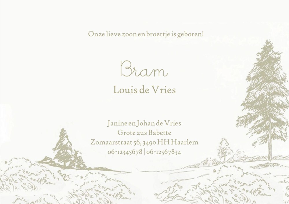 Een geboortekaartje met een klassiek tintje, een Winnie the Pooh geboortekaartje is dan precies wat je zoekt! Winnie, Teigetje, Iejoor en Knorretje lopen door het bos. Prachtige mono tint met de originele illustraties.