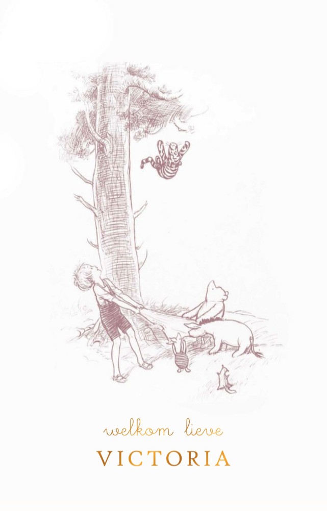 Geboortekaartje Winnie the Pooh in het bos