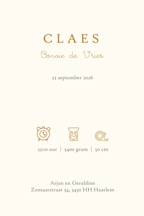 Geboortekaartje Winnie the Pooh classic. Deze klassieke geboortekaartjes van Winnie the Pooh zijn smaakvol en tijdloos. Op een eigentijdse manier vormgegeven door gebruik te maken van folie of kleuren van deze tijd. Er zijn veel Winnie the Pooh kaartjes o