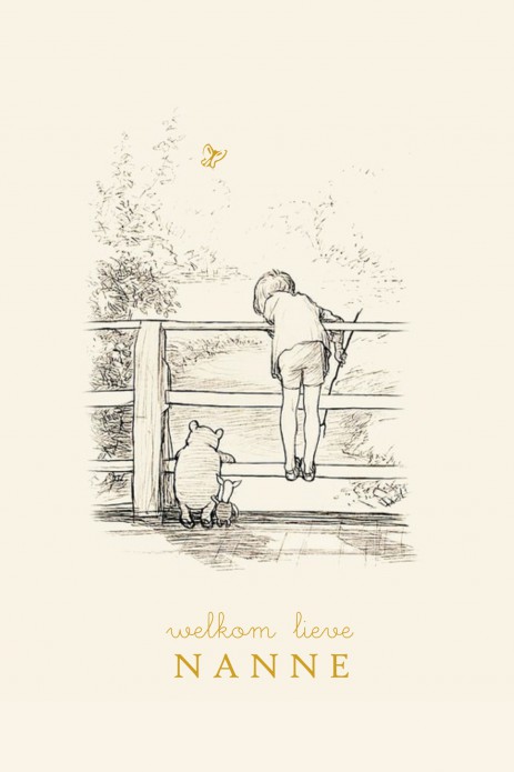 Geboortekaartje Winnie the Pooh op de brug