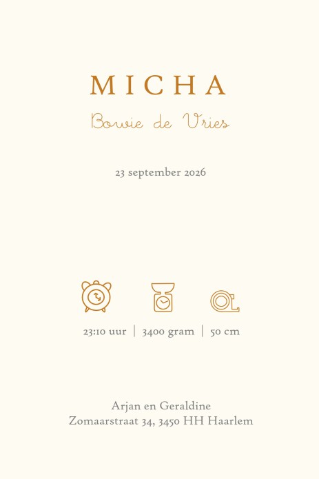 Een heel stijlvol geboortekaartje met originele illustratie van Winnie the Pooh en Piglet en accent in folie. Prachtig klassiek geboortekaartje dat ongetwijfeld tijdloos is. We hebben treffende quotes die je kunt gebruiken als mooie boodschap voor jullie 