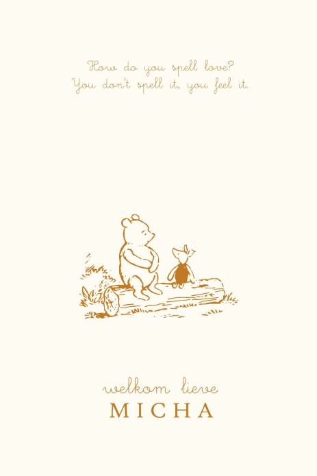 Geboortekaartje Winnie the Pooh