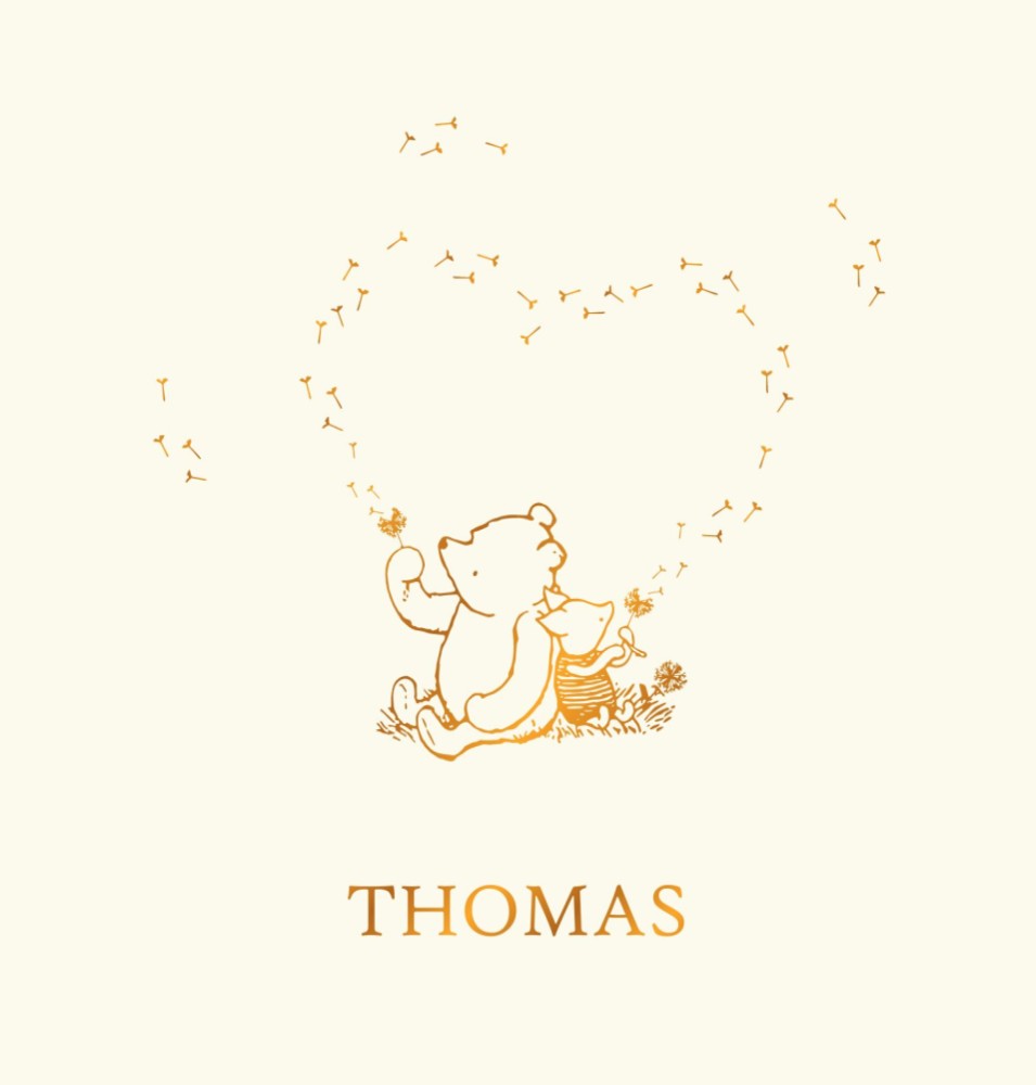 Geboortekaartje Winnie the Pooh en Piglet samen dromen van een wens