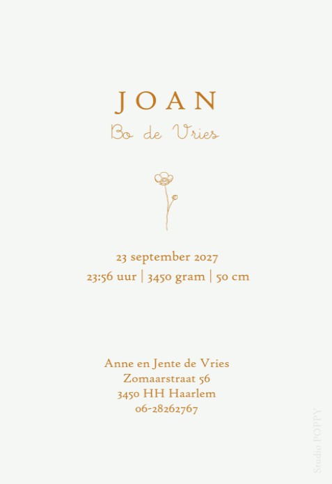 Geboortekaartje Winnie the Pooh classic. Deze klassieke geboortekaartjes van Winnie the Pooh zijn smaakvol en tijdloos. Op een eigentijdse manier vormgegeven door gebruik te maken van folie of kleuren van deze tijd. Er zijn veel Winnie the Pooh kaartjes o