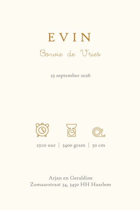 Een heel stijlvol geboortekaartje met originele illustratie van Winnie the Pooh en honingpot en bijtjes met accent in folie. Prachtig klassiek geboortekaartje dat ongetwijfeld tijdloos is. We hebben treffende quotes die je kunt gebruiken als mooie boodsch