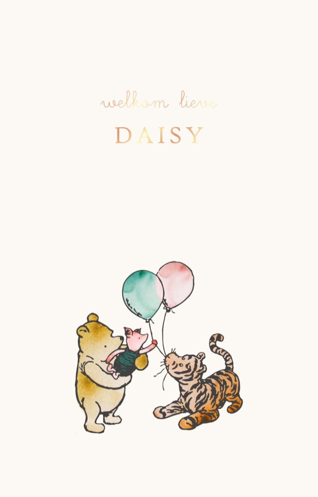 Geboortekaartje Winnie the Pooh met Teigetje