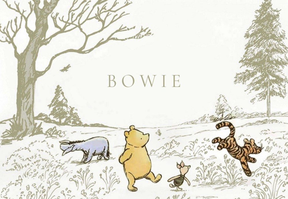 Geboortekaartje Winnie the Pooh en Teigetje in het bos