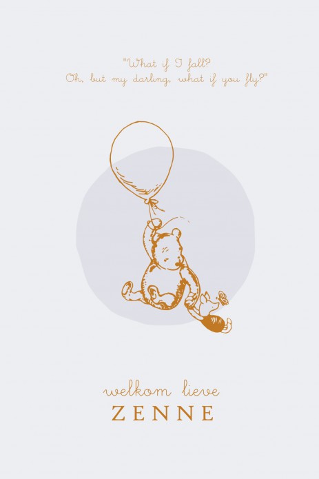 Geboortekaartje Winnie the Pooh 'what if I fall?'