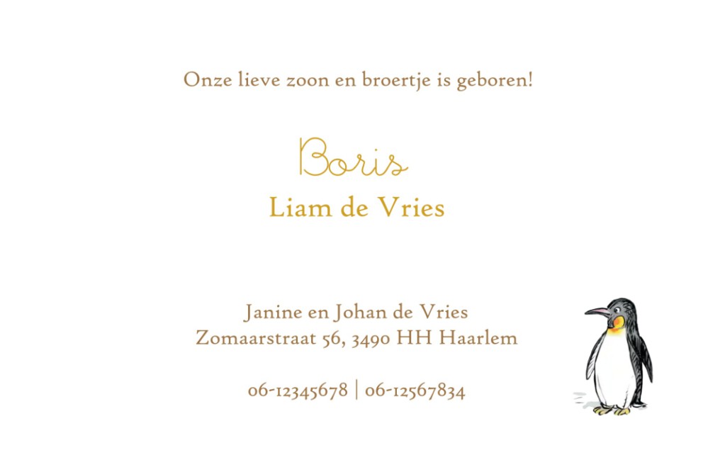 Klassiek Winnie the Pooh geboortekaartje pinguin winter. Winnie the Pooh lijntekening die in folie gedrukt kan worden. Vertederende Pooh zinnetjes maken het geboortekaartje helemaal af. wat denk je van 