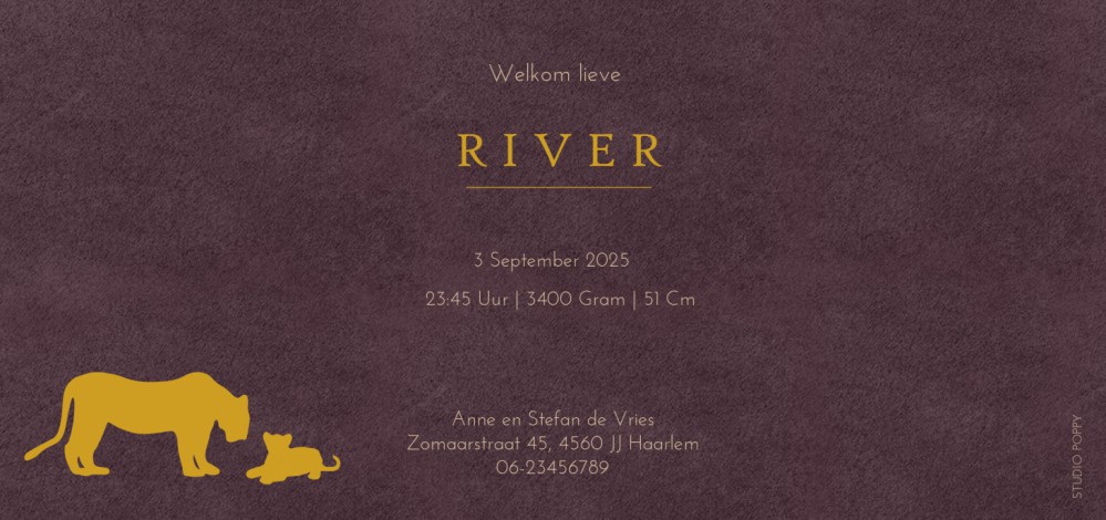 Geboortekaartje velvet look met folie geeft een heel veel warmte aan jullie geboortekaartje. Velours is in verschillende tinten te selecteren voor jouw favoriete look. Klassieke en strakke look met de luxe van folie. Maak eens een proefkaartje en haal jou