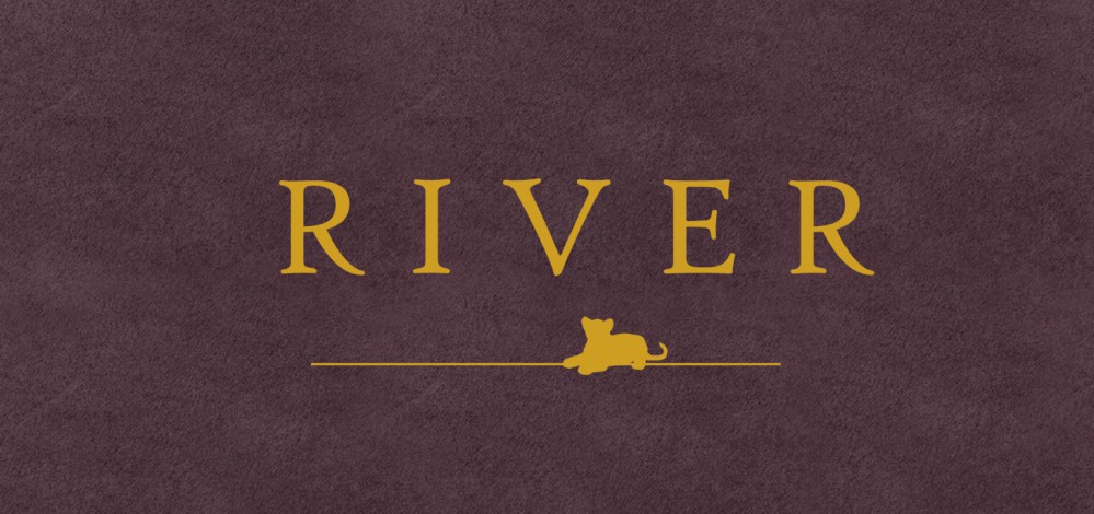 Geboortekaartje velvet look klassiek met folie leeuwtje