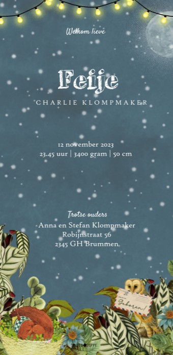 Geboortekaartje retro vintage winter bos eekhoorn. Aandoenlijke en nostalgische verhaaltjes om jullie kindje aan te kondigen. Lief geboortekaartje met vintage vleugje dat toch ook tijdloos is. Maak eens een proefkaart en gebruik de beeldbank om jouw eigen