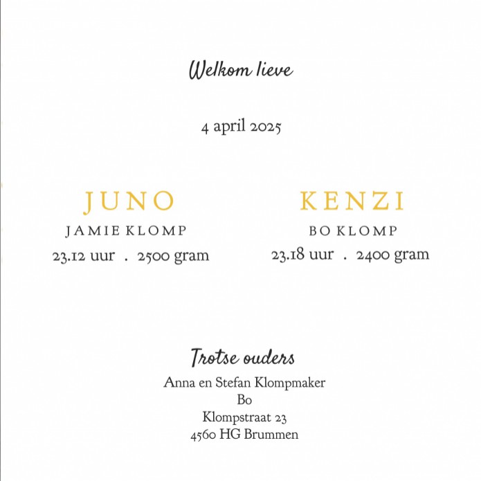 Geboortekaartje tweeling met ijsberen en sterren. Een winters geboortekaartje voor niet één maar twee nieuwe baby's! Zelf kun je het ontwerp aanpassen in de ontwerptool. Lief en bijzonder geboortekaartje waar je jouw eigen draai aan kan geven. Vraag eens 