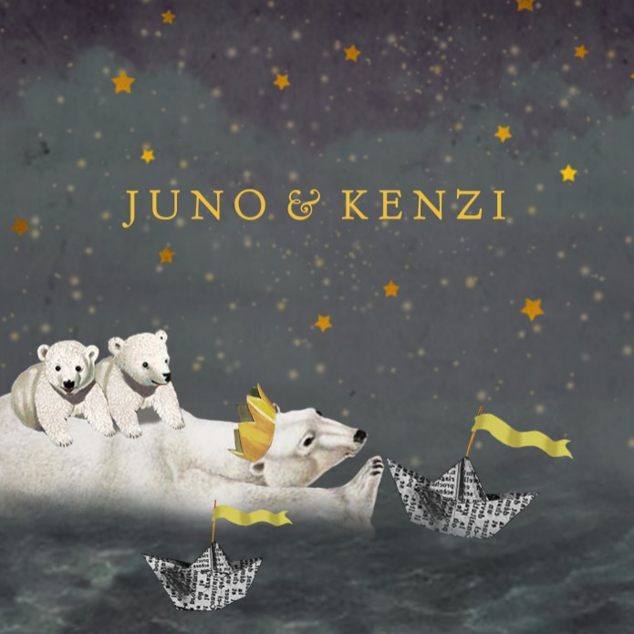 Geboortekaartje maan sterren ijsbeer tweeling