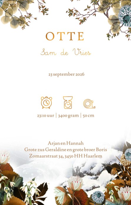 Geboortekaartje met watercolor winter landschap. Zelfs broer en zus zijn afgebeeld op dit winterse geboortekaartje. Er ligt sneeuw en ijs op de sloot en in de bomen zitten twee vogeltjes broer en zus aan te kijken.